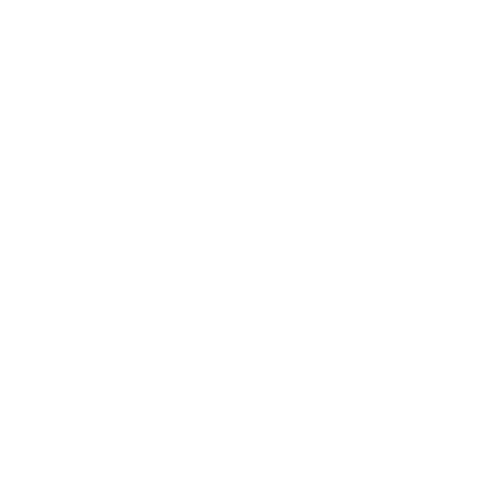 Vulpes Solutions Techology 